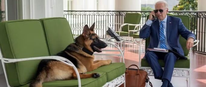 Echaron al perro de Joe Biden de la Casa Blanca