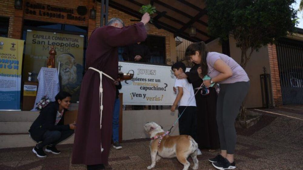 Hoy se bendicen perros, loros y michis