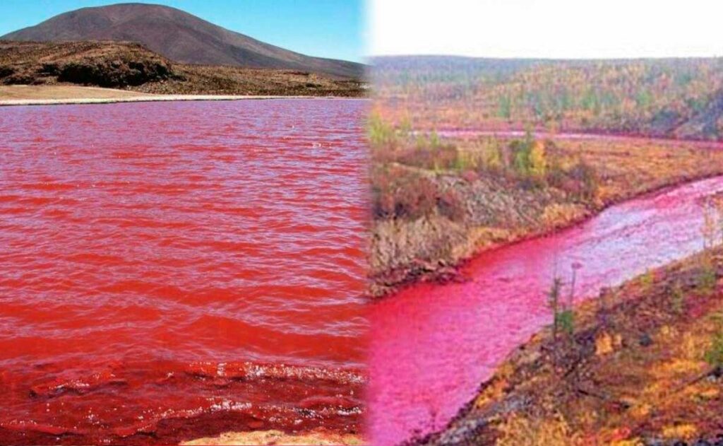 El río Nilo se tiñó completamente de rojo. ¿La causa?