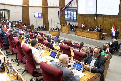 Diputados sancionó el proyecto de ley de reforma policial