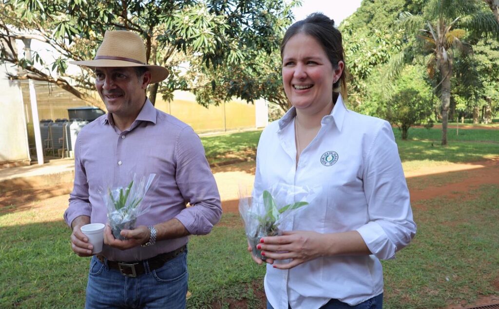 Forestal paraguayo es una riqueza de alto potencial