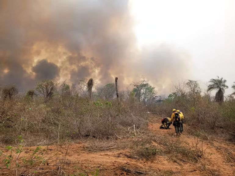 Incendios en el chaco