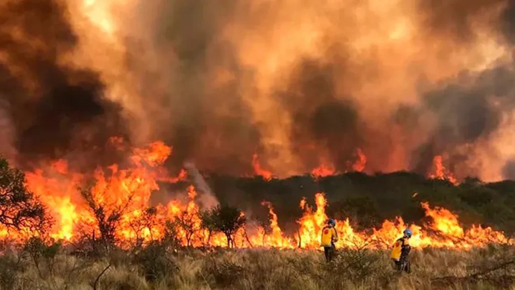 desesperante-fuego-cordobajpg