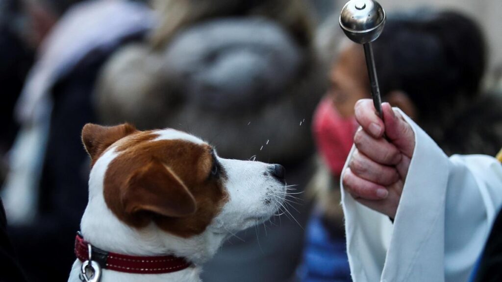 Bendicen mascotas por el Día de San Francisco de Asís