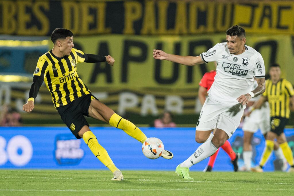 Botafogo es finalista de la Libertadores pese a la derrota