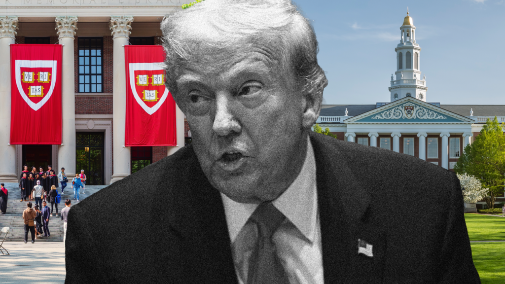 “¡Es lo que se merecen!”: La drástica medida que planea lanzar Trump contra Harvard