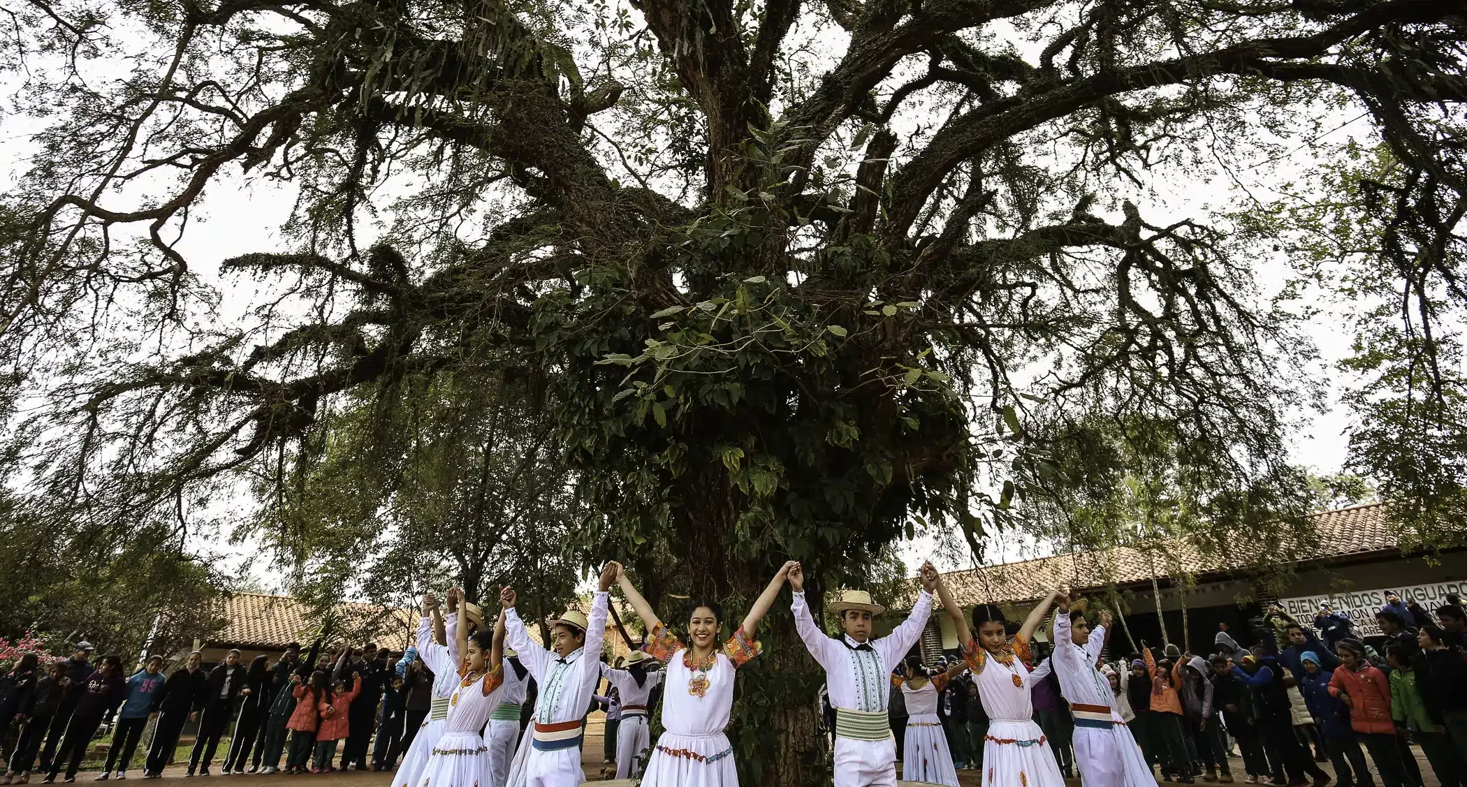 Colosos de la Tierra - Árbol de la gente 2018