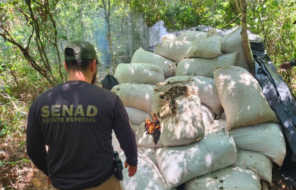 Golpe económico de USD 1,1 millones al narcotráfico tras megaoperativo en Concepción